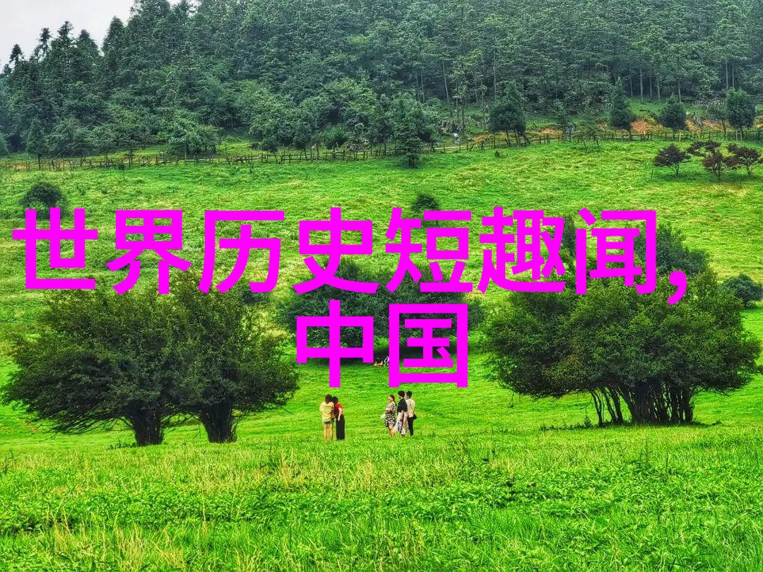我要看豫剧戏曲霍林豫剧之魂