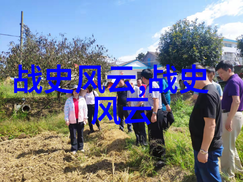 最美情侣免费播放视频下载我是怎么找到那些浪漫视频的
