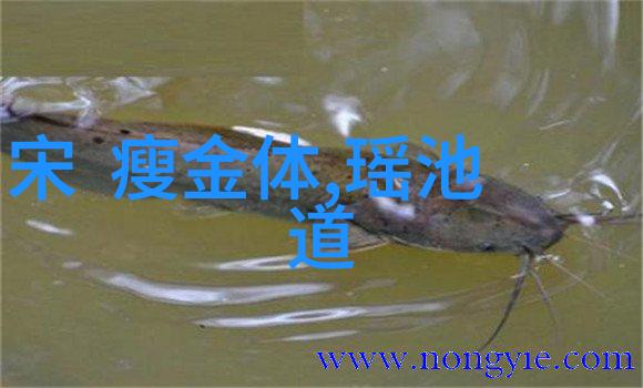 洪水猛兽鸟人鱼怪山海经中的奇异生物