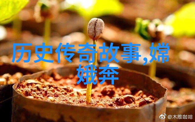 华夏梦想梁启超的学海无涯