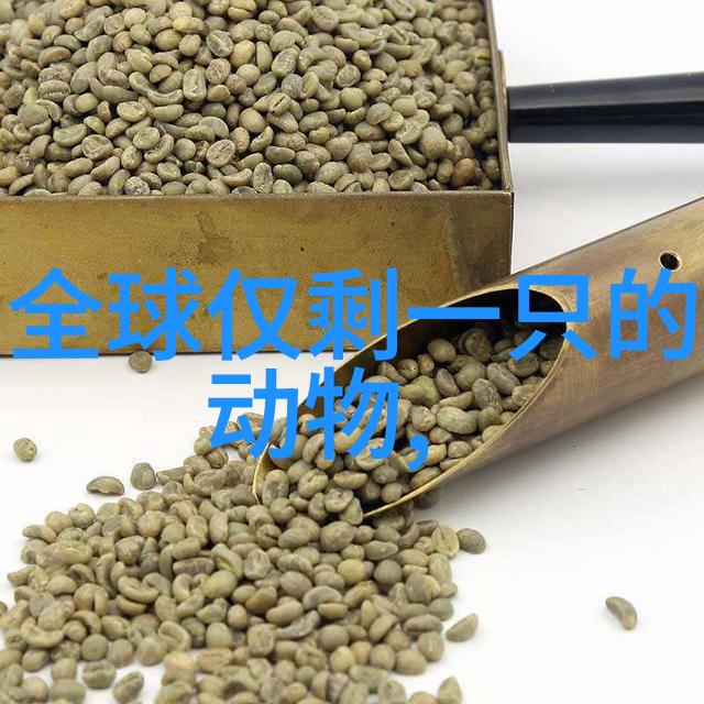 隐秘的历史那些被掩藏的建国初年真相