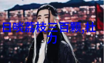 元朝名人蒙哥皇帝简介