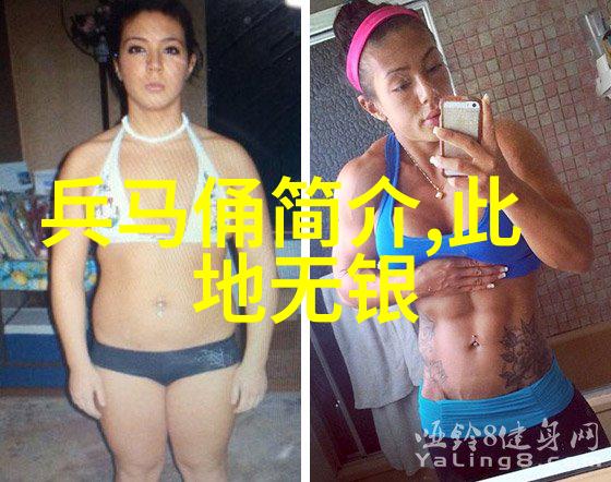 古埃及金字塔的神秘建造探索古埃及人如何建造这些巨大的陵墓