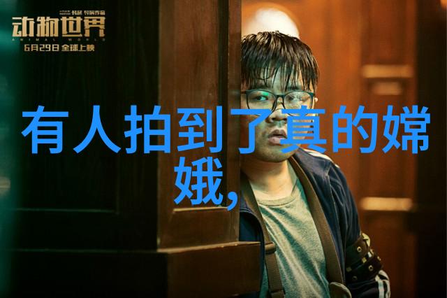 星光下的秘密花园一位传奇歌手的隐秘爱情