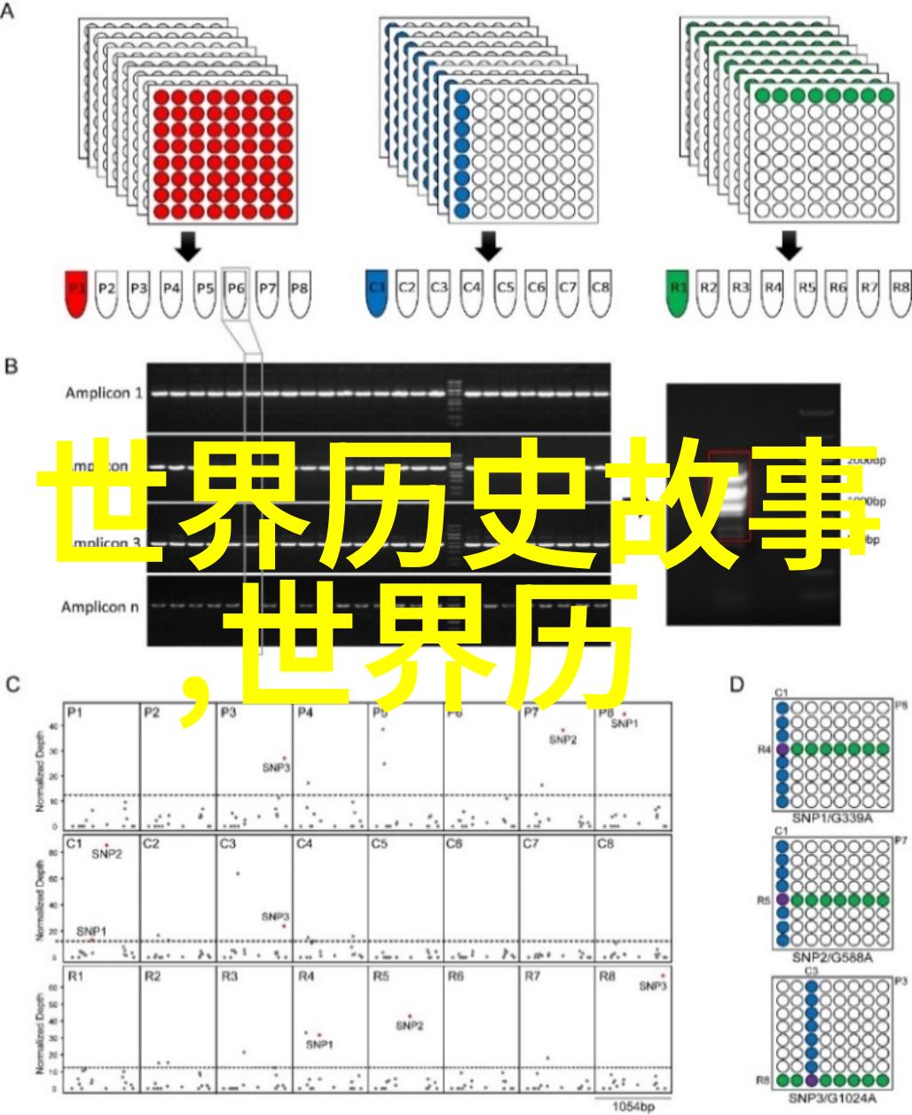 夜幕下的宴会一个隐秘的历史交响曲