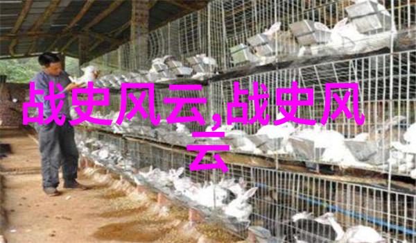 大汉王朝的太极秘笈陈和玉的古韵拳法