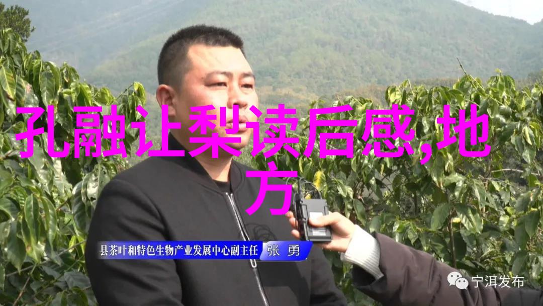 从古诗到现代用语探索十个著名成语的由来