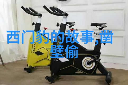 明朝族谱简图揭秘佥妻制度的神秘面纱