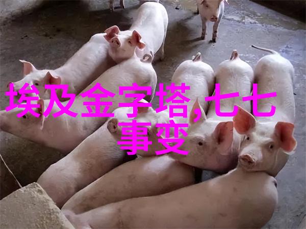 明朝开国皇帝朱元璋的政治生涯探究