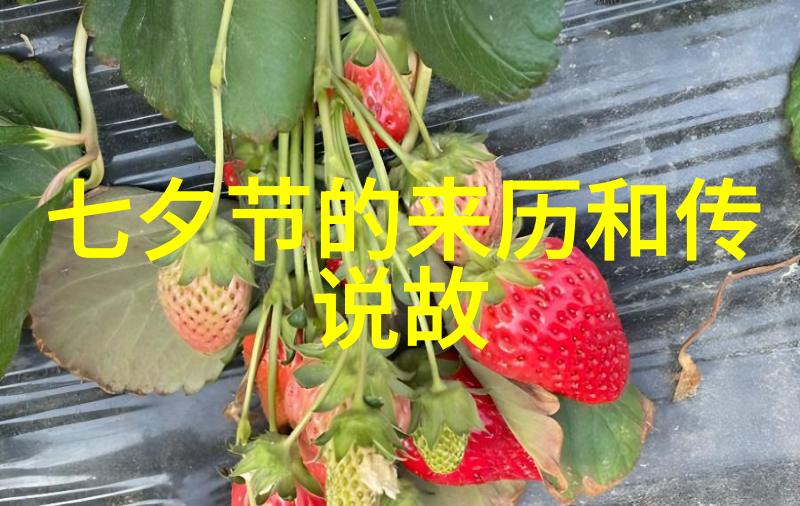 唐朝好男人3无后之君玄宗之后的孤独帝冠