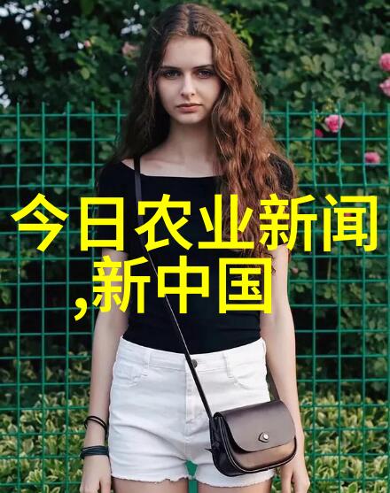 清风亭全集 豫剧盛宴