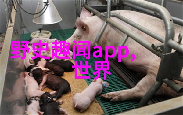 中国神话传说精选龙的传说后土娘娘的故事鹿鼎记中的西游故事情节