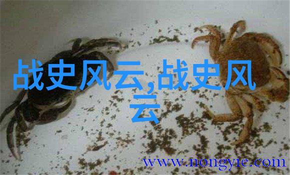 历史上有争议的野史-揭秘隐匿那些被历史抹去的荒谬真相
