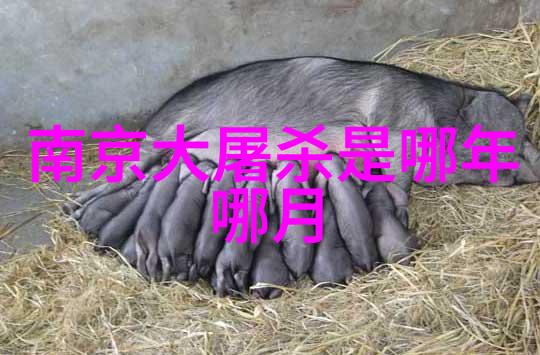七国争霸秦献公始皇的先驱者公元前424年公元前362年