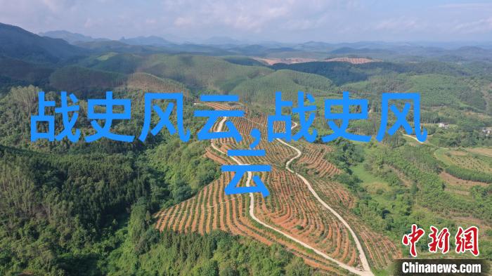 月光下的契约一段古老的友情
