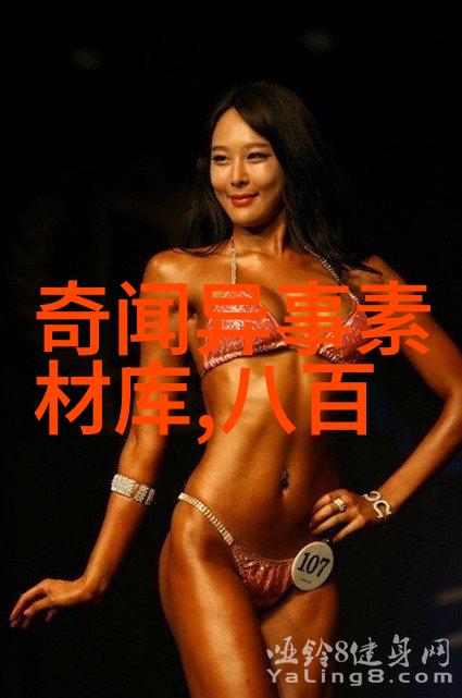 揭秘历史间隙野史趣闻ID探索未解之谜