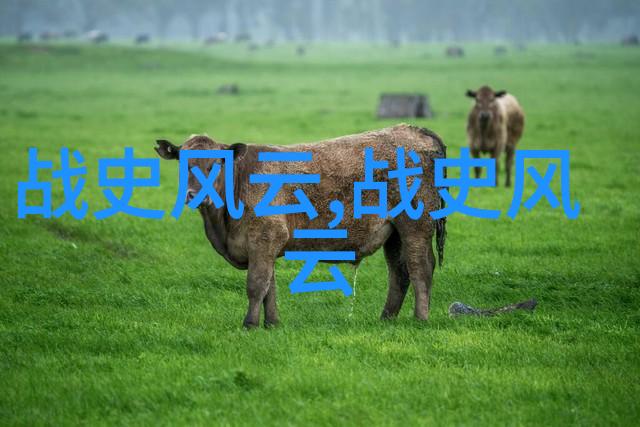 魏国奋起曹操的征途与梦想