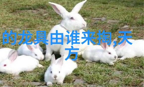 传统故事中的魔女真的存在吗
