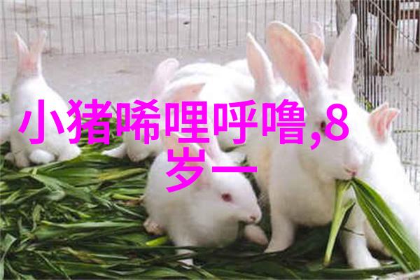 追寻那些在正史未提及的人物足迹