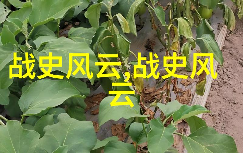 隋朝开国之主杨坚如何巧手拥北周宝座