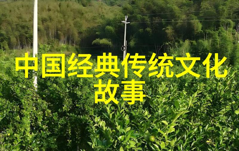皇宫中的斗智斗勇多尔衮与孝庄的风波