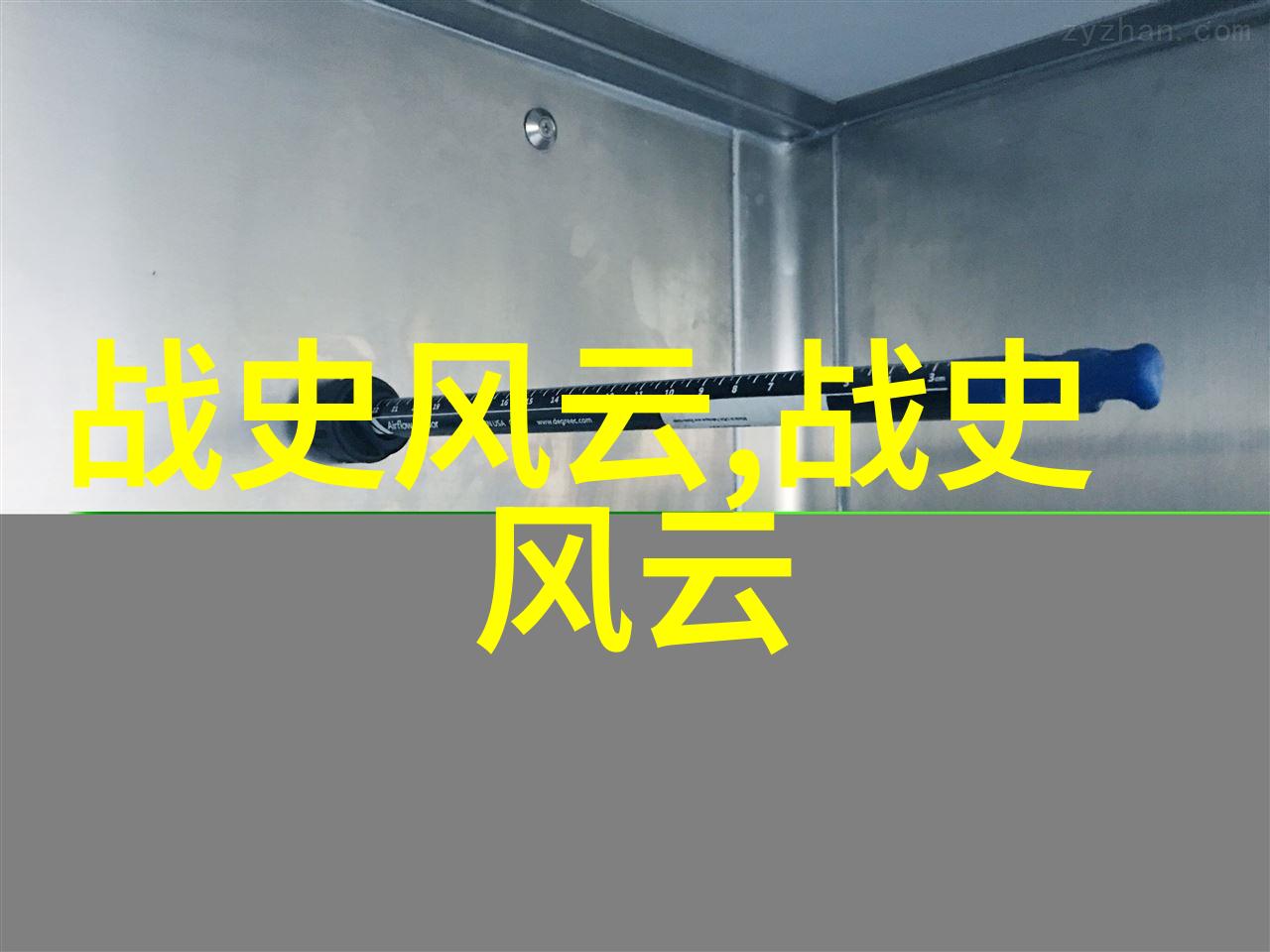清宫秘密一幅失落的画卷