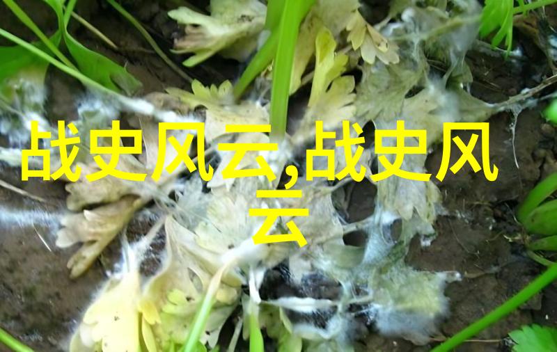 四年级历史人物故事探索古人的足迹