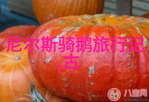 郡主世无双倾城之姿绝代风华