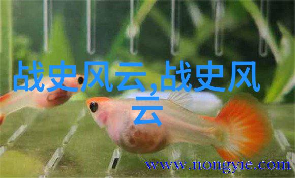 49式动作与其他武术形式的区别是什么