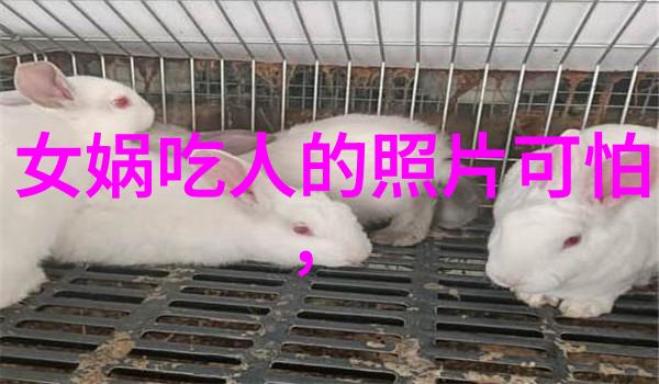 从秦到清探索中国悠久历史朝代的辉煌与变迁