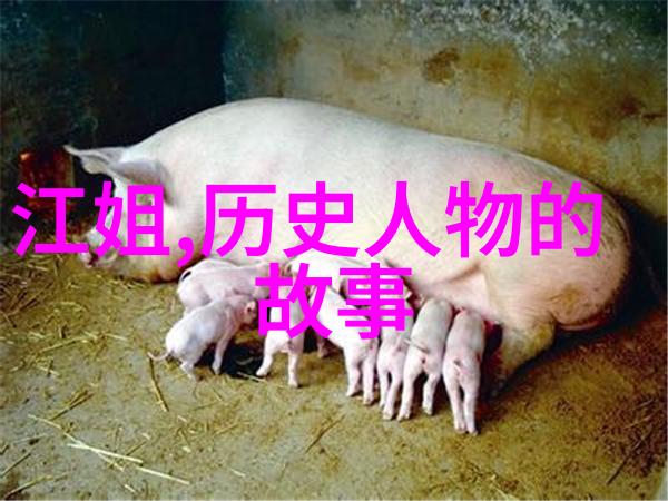俄罗斯大门开启英模文化新篇章拉开序幕