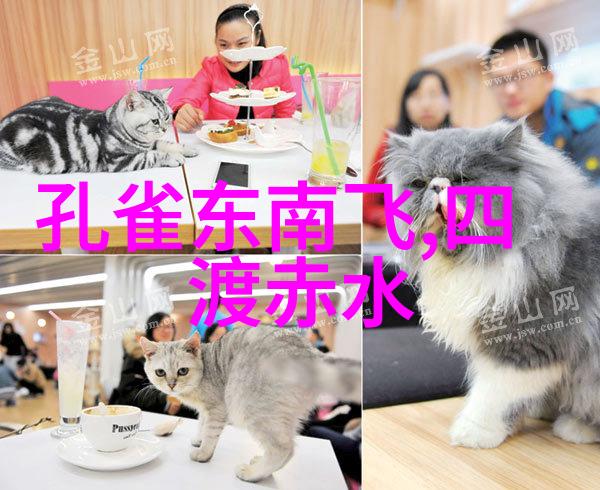 2022年真实搞笑新闻网络红人不小心直播了自己在家里跳绳的高潮时刻