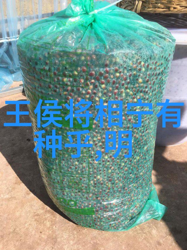 神话故事-天降锦鲤一场奇遇的开始