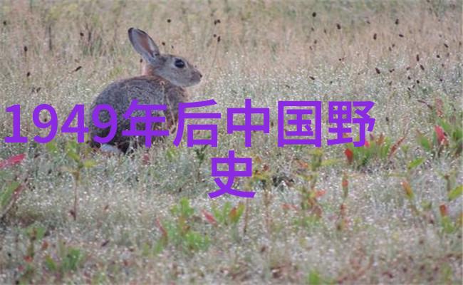 1986年春晚背后的惊悚故事恐怖笑话与社会反思