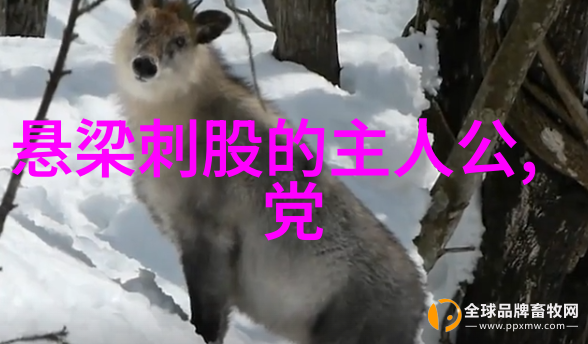 三国之外那些被遗忘的历史角色有着怎样的故事