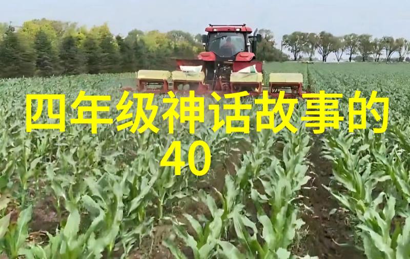 中国民间故事大全100篇-百年传承探秘中国民间故事的奇幻与智慧