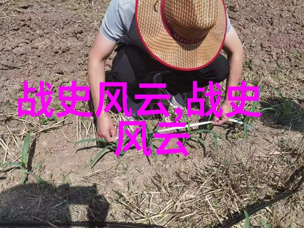 唐朝禁宫中的长生不老梦皇帝们的反复追求永恒与权力的故事