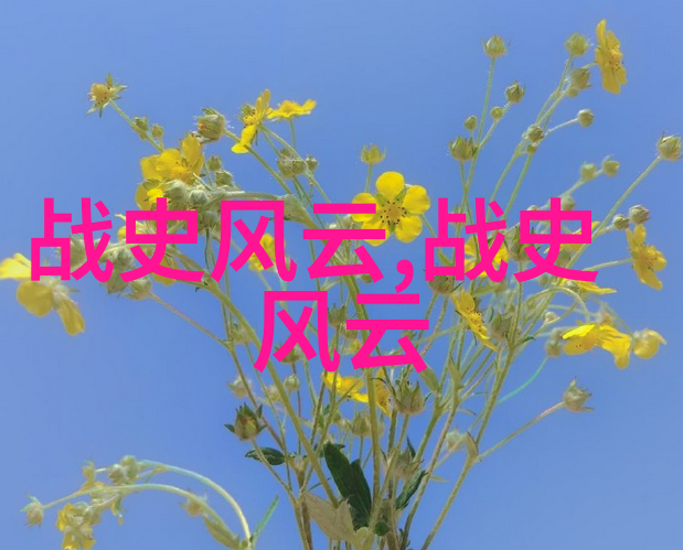 童话故事-公主的新衣魔镜与织女的秘密