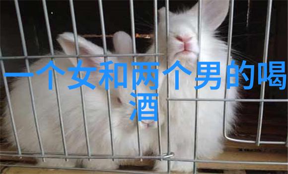 探索阿凡提智慧的源泉揭秘古代智者生活与哲学