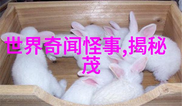 西游记中的孙悟空一位变形金刚的故事