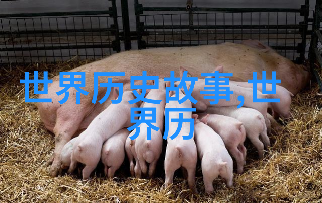 江湖恩怨武林外传
