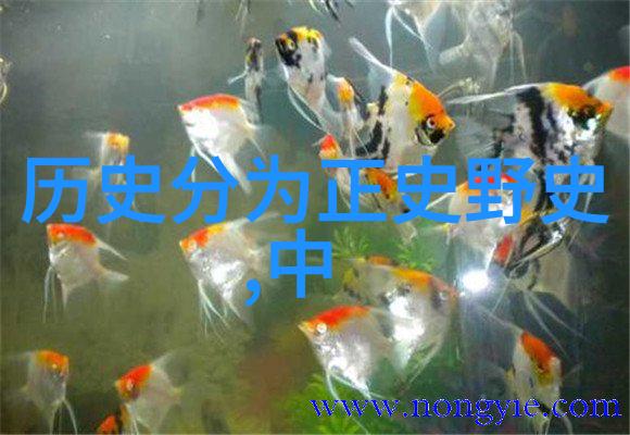 我国为什么不拍元朝电视剧-历史的隐秘解析我国对元朝题材的忽视