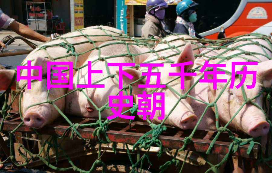 揭秘历史迷雾那些被遗忘的传奇与真相