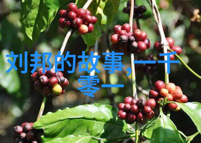 月下幽梦一抹青苔的遥远记忆