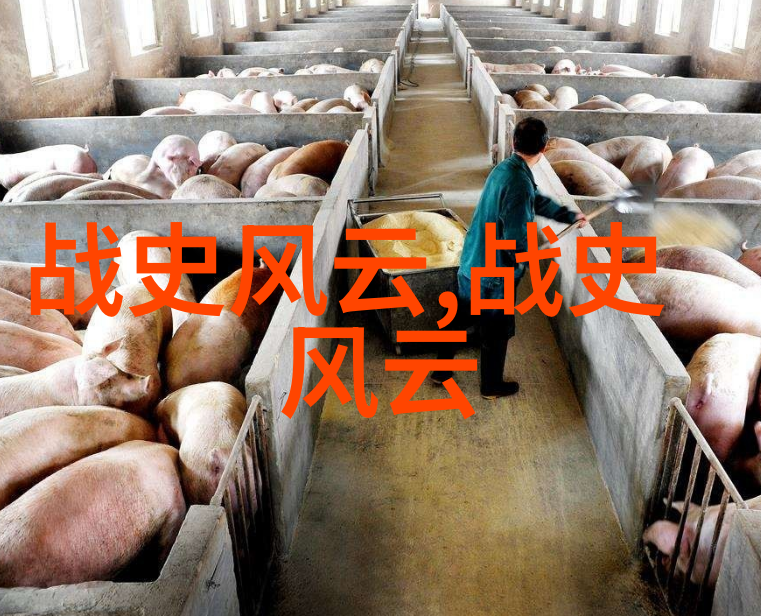 津城电话号码天津区号的故事与变迁