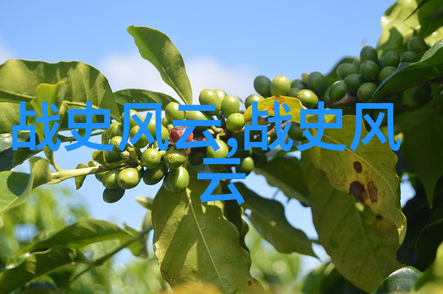 梦幻森林里的魔法小熊和他的朋友们