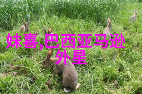 重生之武大郎玩转宋朝宋光宗皇帝简介
