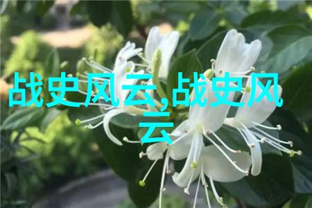 魏武侯战国时期名将