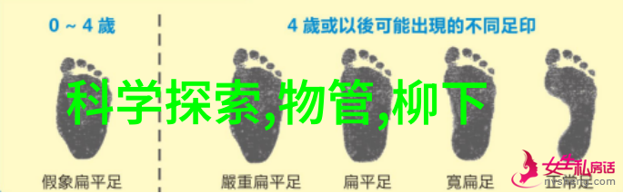 逆袭天宫从凡尘到神明的传奇