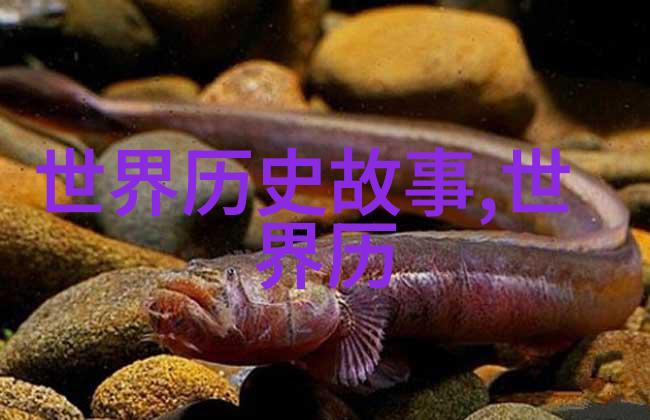 天地奇观云中楼阁与地下河流
